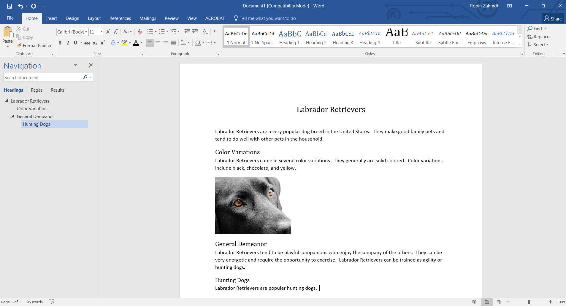 Screenshot of a Microsoft Word document on Labrador Retrievers. The document uses headings in a sequential order to organize content. 